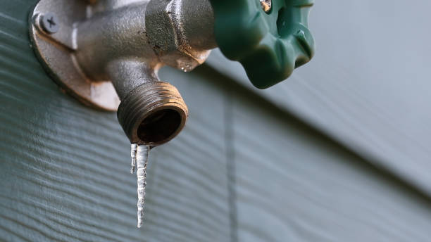 Best Clogged Drain Plumber  in Easton, CA